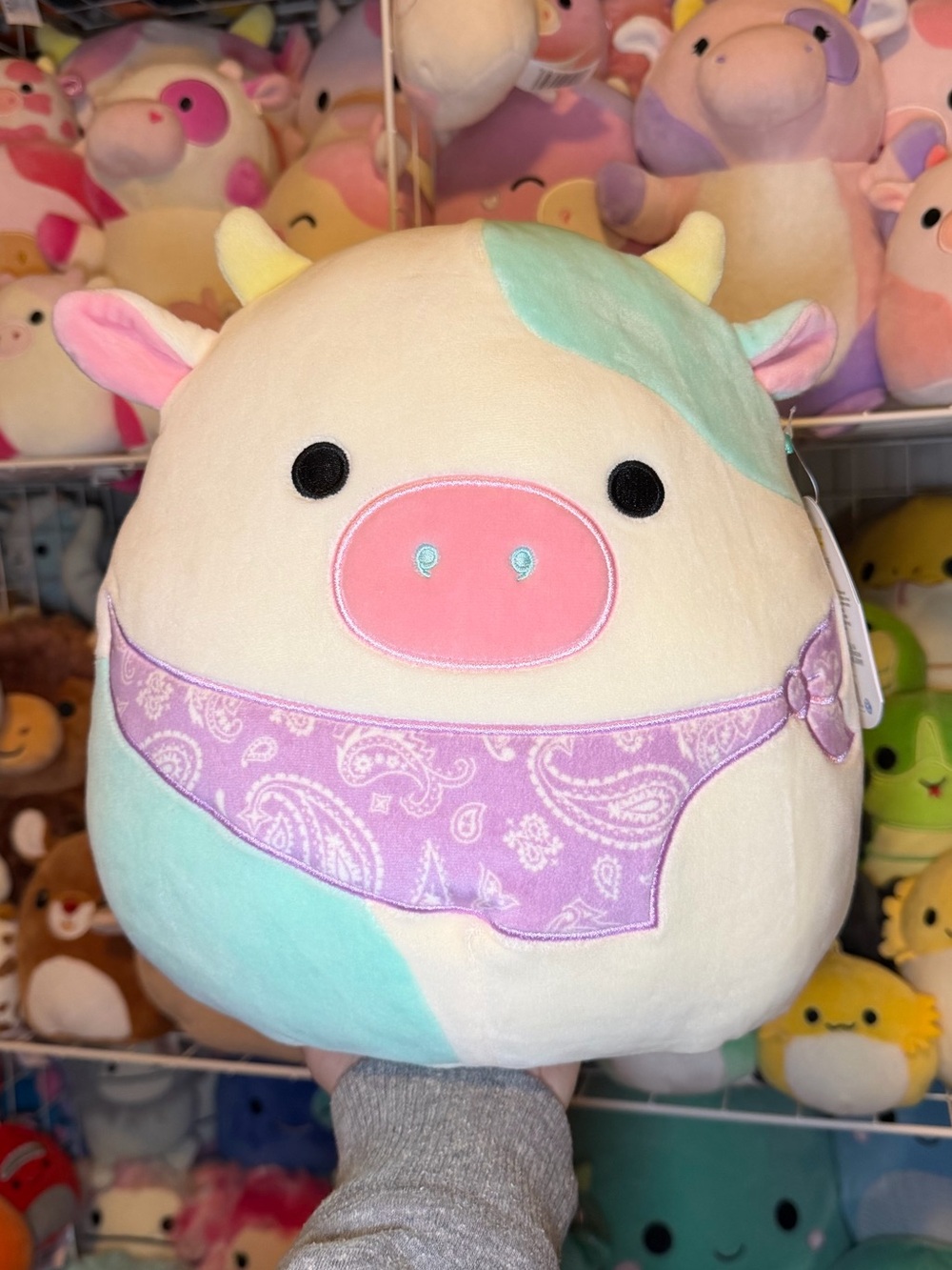 Squishmallows Squishmallow Belana the Teal Blue Cow w/Bandana 11" Stuffed Plush